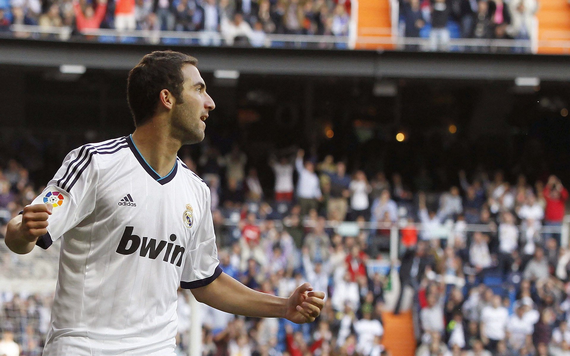 _南美网球文化节：激情与技巧的完美融合_，网球 美国